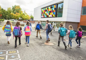 A group of kids go to the school. Back view